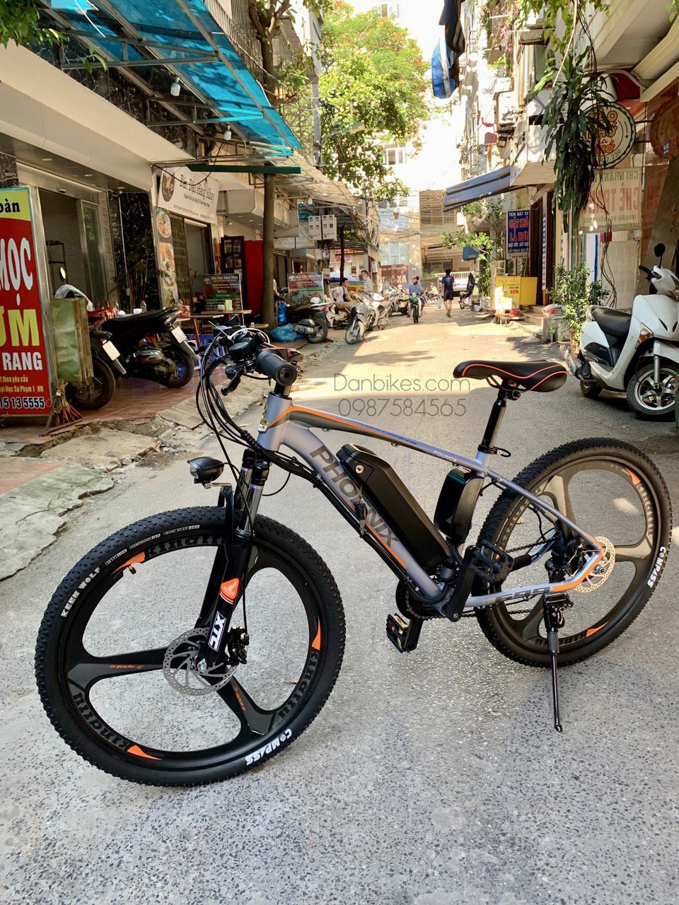 xe đạp thể thao trợ lực điện phoenix 699 mountain