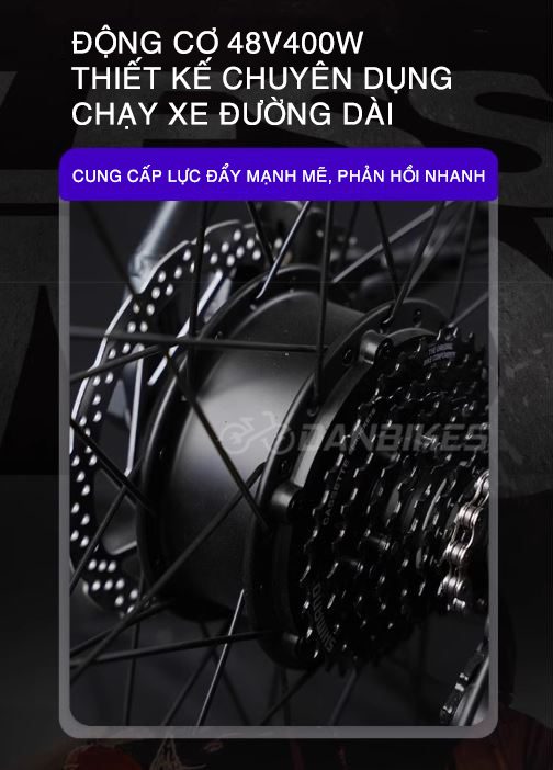 Xe Đạp Thể Thao Trợ Lực Điện Phoenix Lm Supernova 10 4
