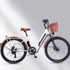 xe đạp điện trợ lực phoenix c1