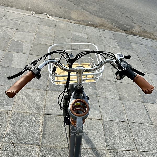 Xe Đạp Trợ Lực Điện Phoenix Cf 19 1