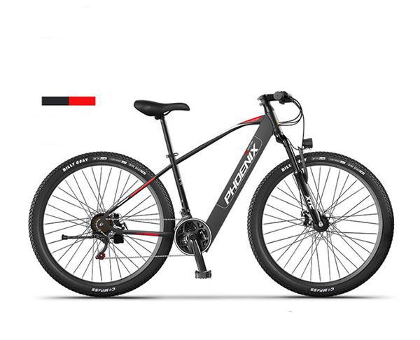 XE ĐẠP THỂ THAO TRỢ LỰC ĐIỆN PHOENIX 590