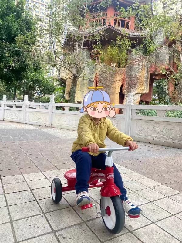 XE ĐẠP 3 BÁNH TRẺ EM RADIO FLYER TỪ MỸ 14 O1CN01iCccn61WIsQULlC05 0 tbbala