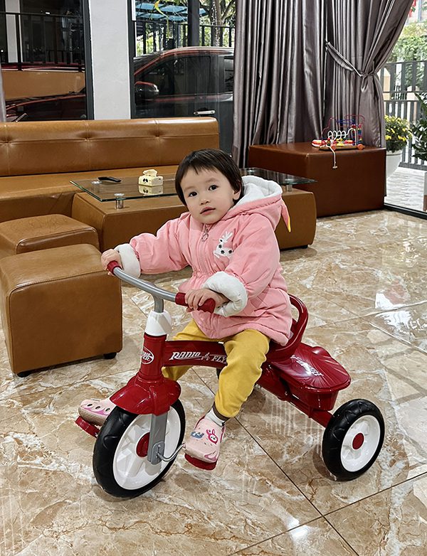 XE ĐẠP 3 BÁNH TRẺ EM RADIO FLYER TỪ MỸ 12 bf464570a3e10ebf57f0