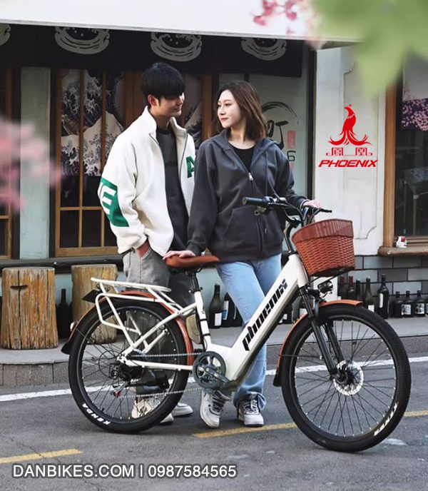 XE ĐẠP ĐIỆN TRỢ LỰC PHOENIX C1 36 2 1