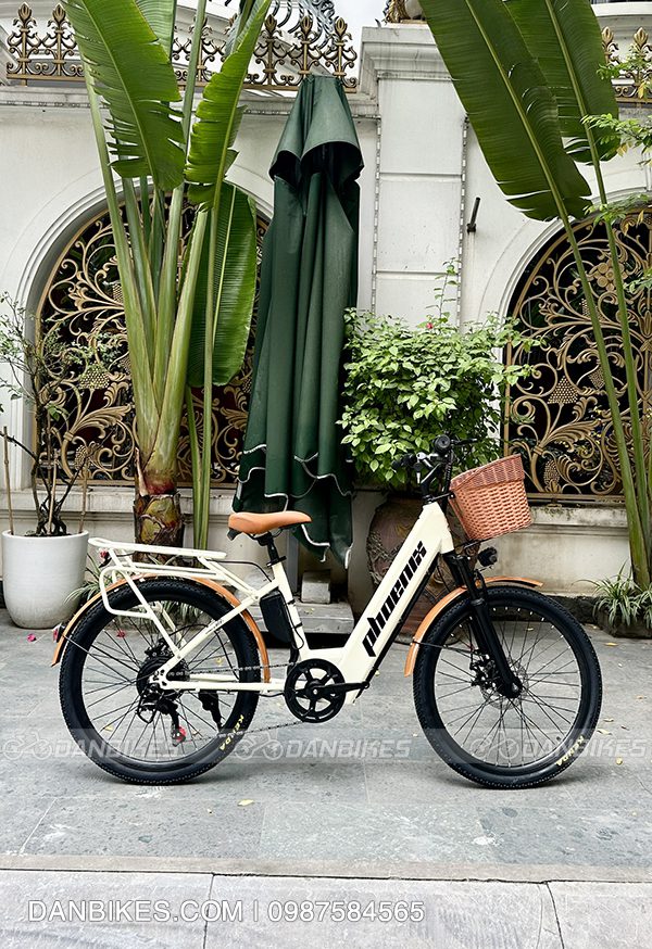 XE ĐẠP ĐIỆN TRỢ LỰC PHOENIX C1 25 293ce34c4209f057a9181
