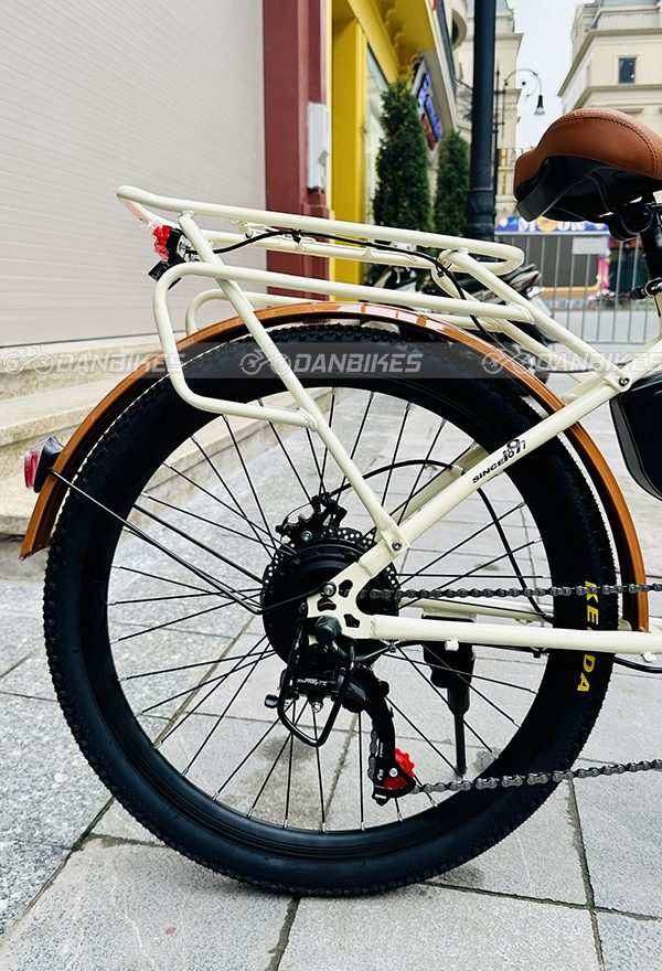 xe-dap-dien-tro-luc-phoenix-c1 580db5171452a60cff434