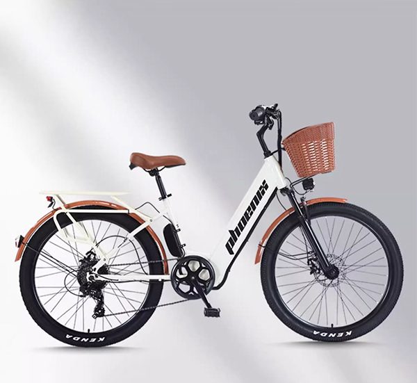 xe đạp điện trợ lực Phoenix C1