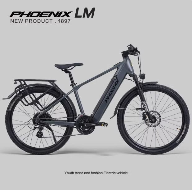 XE ĐẠP THỂ THAO TRỢ LỰC ĐIỆN PHOENIX LM SUPERNOVA 6 T