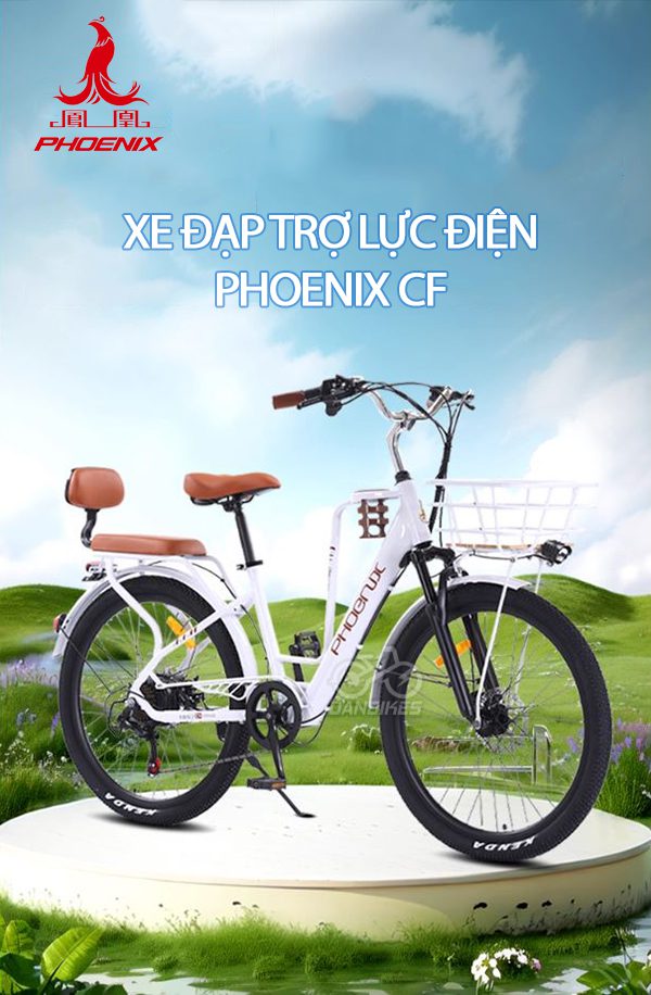 XE ĐẠP TRỢ LỰC ĐIỆN PHOENIX CF 6 1 1
