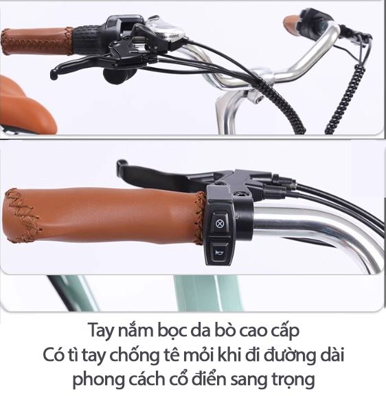 xe-dap-tro-luc-dien-phoenix-cf 232