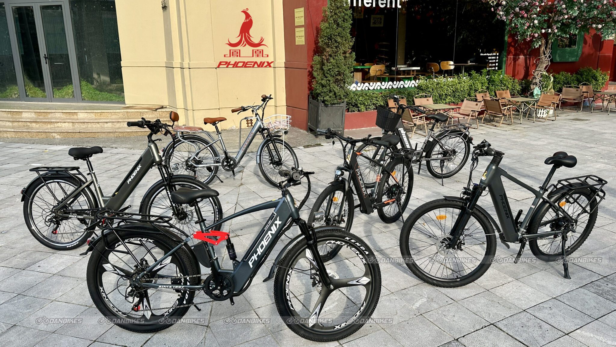 Bộ Sưu Tập Xe Đạp Điện Trợ Lực Thể Thao Phoenix Phượng Hoàng