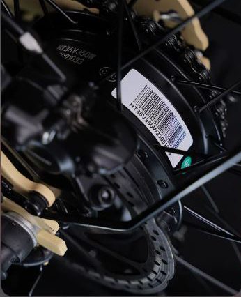 Xe Đạp Điện Trợ Lực Phoenix LS Bánh 20 Inch Minivelo Pin Có Thể Tháo Rời 11 1 2