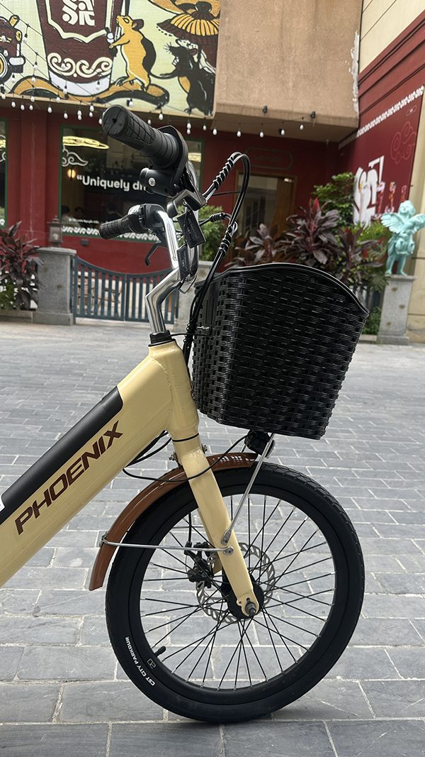 Xe Đạp Điện Trợ Lực Phoenix LS Bánh 20 Inch Minivelo Pin Có Thể Tháo Rời 15 Xe Đạp Điện Trợ Lực Phoenix LS Bánh 20 Inch Minivelo