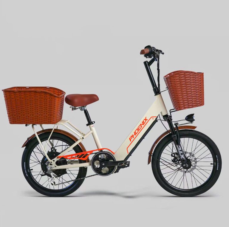 xe-dap-dien-tro-luc-phoenix-l3-banh-20-inch-minivelo-khung-thap